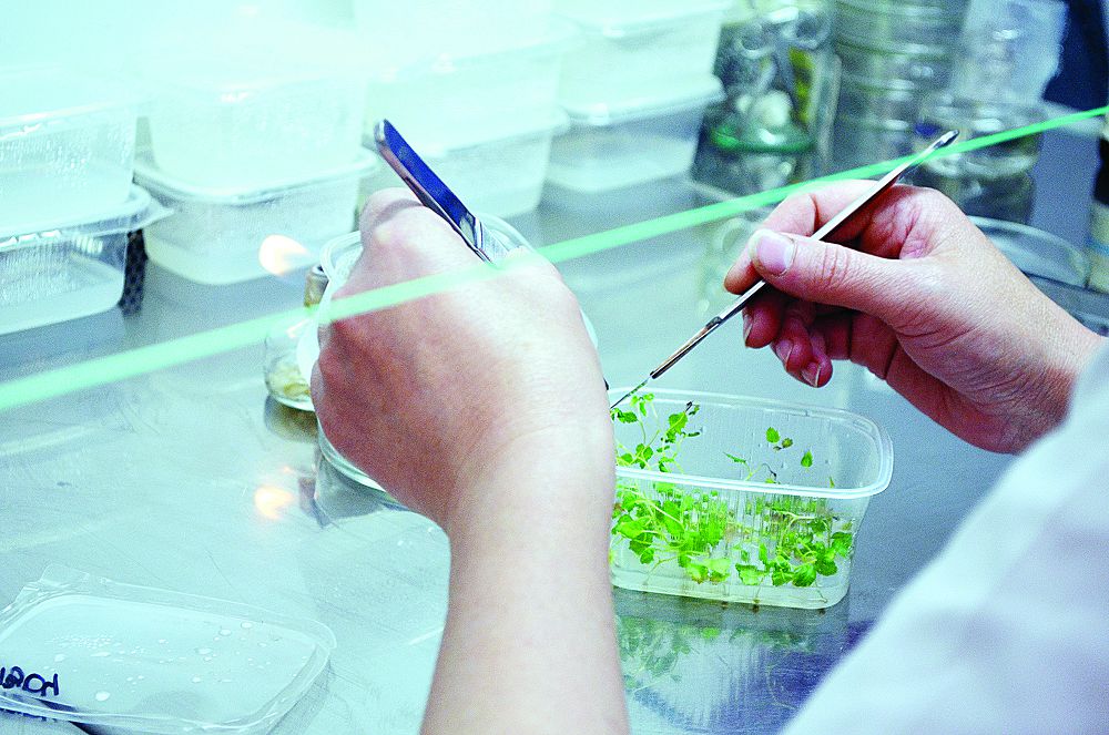 اۋىلدا جاس ماماندار ۇلەسى ارتىپ كەلەدى