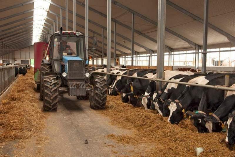 قازاقستاندا 517 اۋىل شارۋاشىلىعى كووپەراتيۆى تىركەلدى