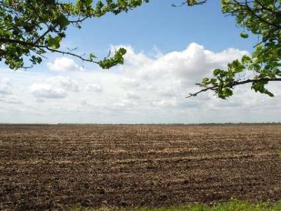 تۇركىستان ءوڭىرى سۋ تاپشىلىعىن سەزىنۋدە