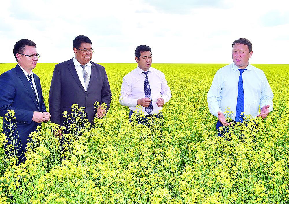 الىس اۋدان ايشىقتارى