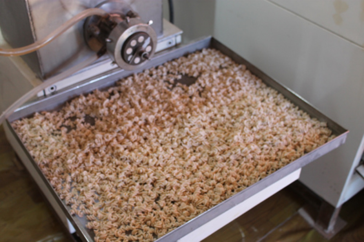 اۋىلداعى ماكارون تسەحى