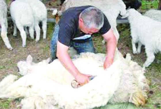 قازاق – قاشاندا قازاق! (07.08.2017)