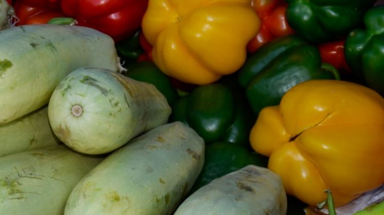 استانادا قوستاناي وبلىسىنىڭ اۋىل شارۋاشىلىق جəرمەڭكەسى ءوتتى