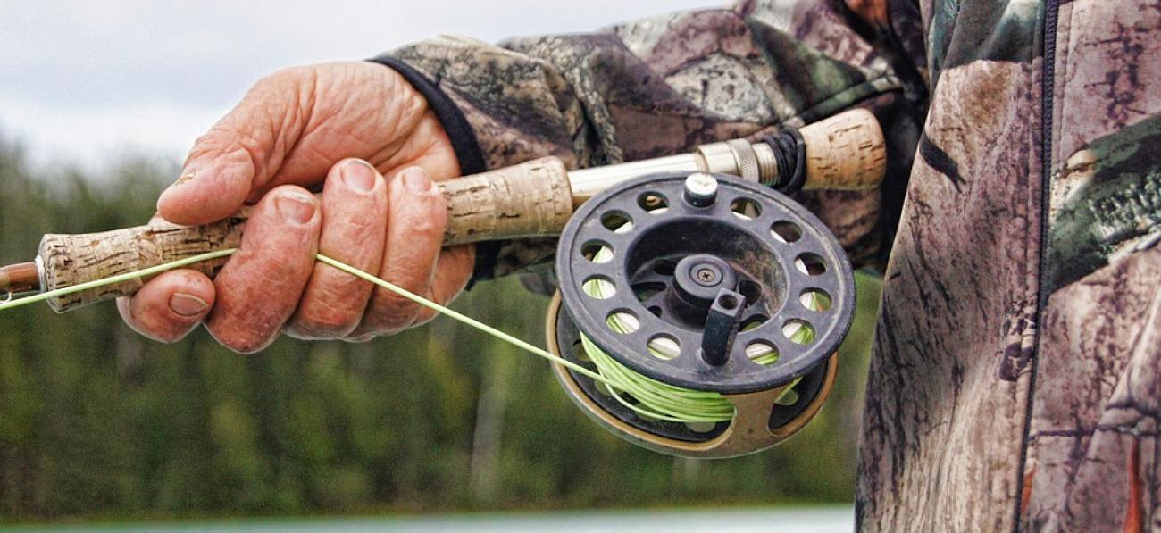 بيىل پاۆلودار وبلىسىندا زاڭسىز اۋلانعان 216 كەلى بالىق تاركىلەندى