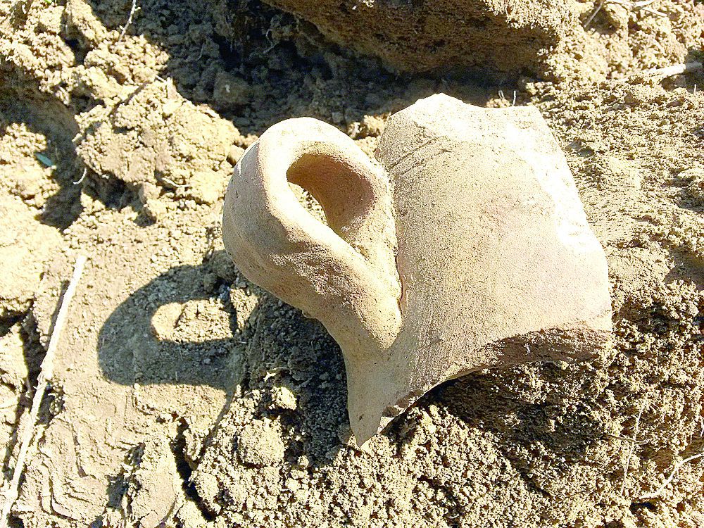 ەكى ەجەلگى بەكىنىس تابىلدى