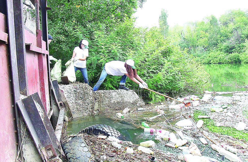 سانا تازارماي, دالا تازارمايدى