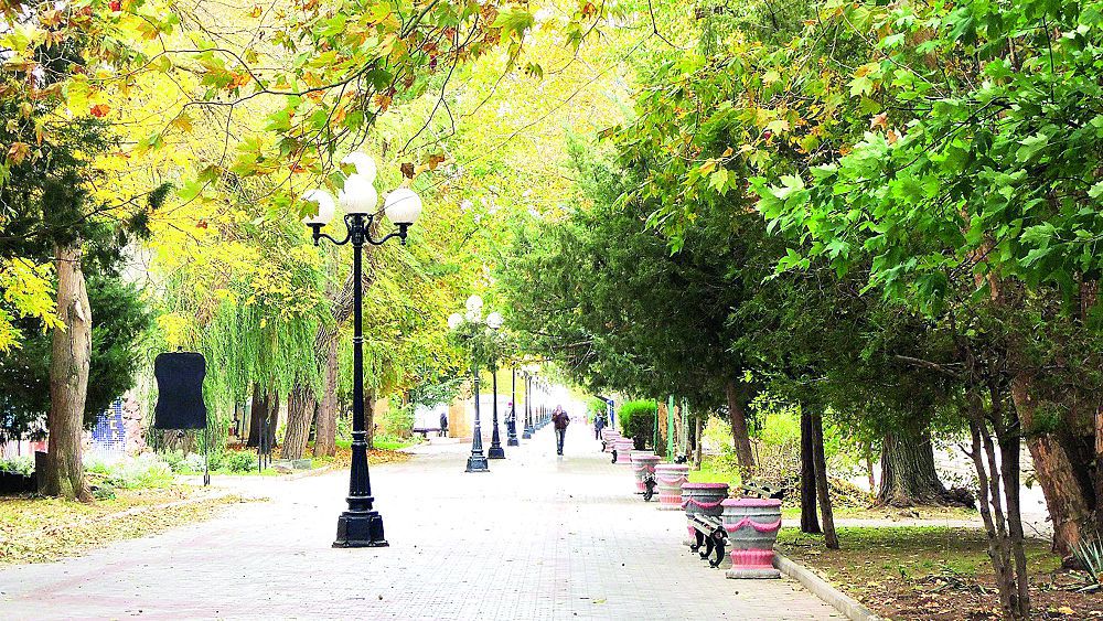 اعاش قاندالالارىنان قاۋىپ زور