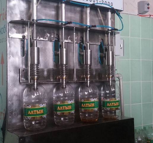 سايرام اۋدانىندا وسىمدىك مايى وندىرىلەدى