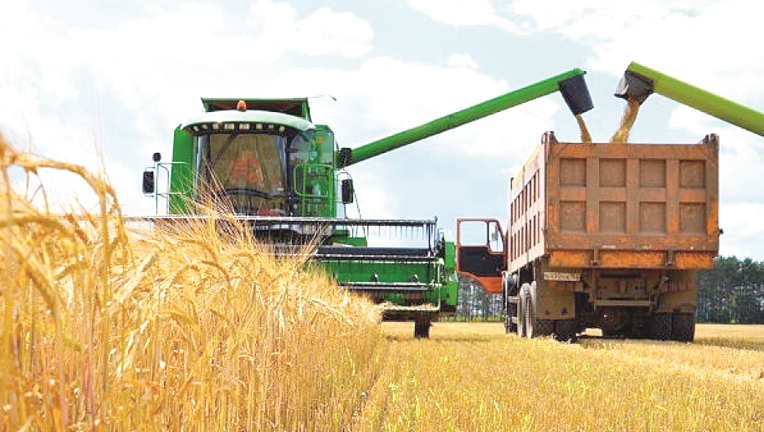 سولتۇستىكتە مايلى جانە بۇرشاق تۇقىم­داس دا­قىل­داردىڭ القابى 30 پايىزعا ۇلعايدى