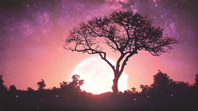 ەشتەن كەش جاقسى