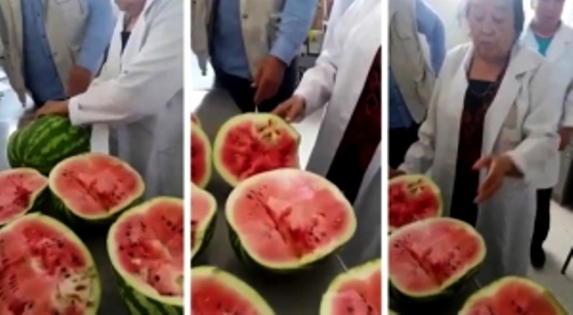 شۋلى ۆيدەودان كەيىن استانادا 35 توننا شىرىگەن قاربىز جويىلدى (ۆيدەو)