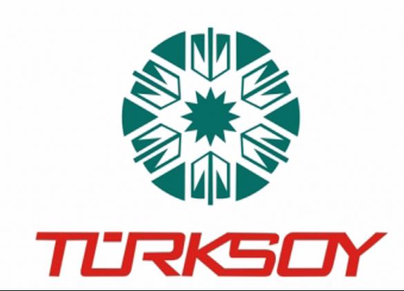 تۇركسوي سۋرەتشىلەرى وڭتۇستىككە كەلدى