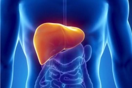 باستىڭ اماندىعى –  باۋىردىڭ بۇتىندىگىندە