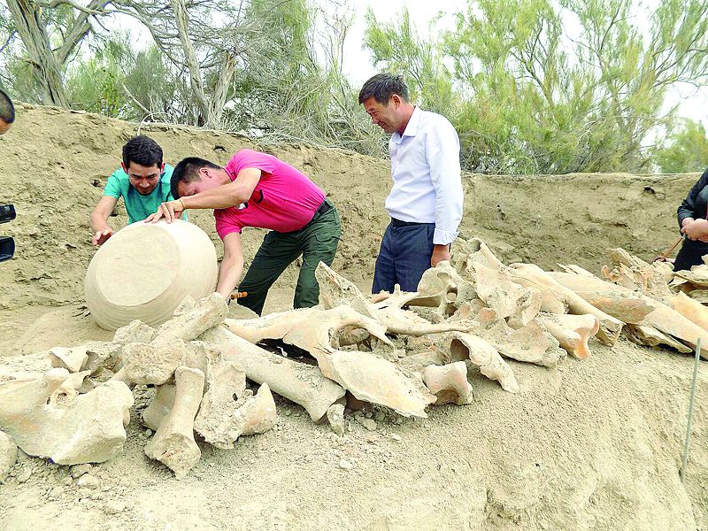 سىر وڭىرىندەگى سورتوبە بەكىنىسىنەن قوبىز پىشىندەس تاس تابىلدى