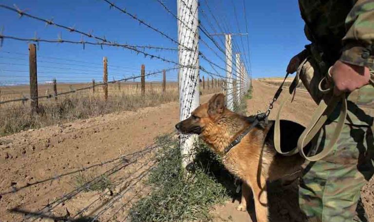 جامبىل وبلىسىندا شەكارادان زاڭسىز وتپەك بولعاندار ۇستالدى 