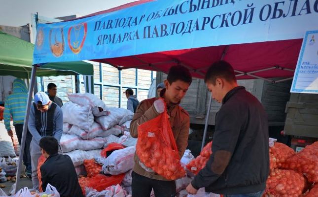 استانادا پاۆلودار وبلىسىنىڭ جارمەڭكەسى وتۋدە (فوتو)