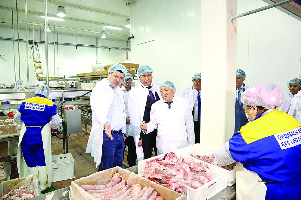 جايىق پەن ارىس اراسى جاقىنداي ءتۇستى