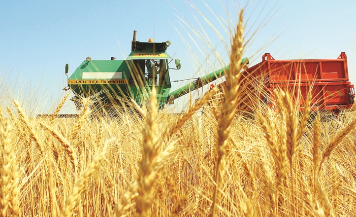 ارپا, بيداي اس ەكەن...