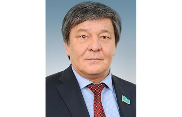 پارلامەنت دەپۋتاتى اقتوعاي جانە ەرتىس اۋداندارىندا بولدى