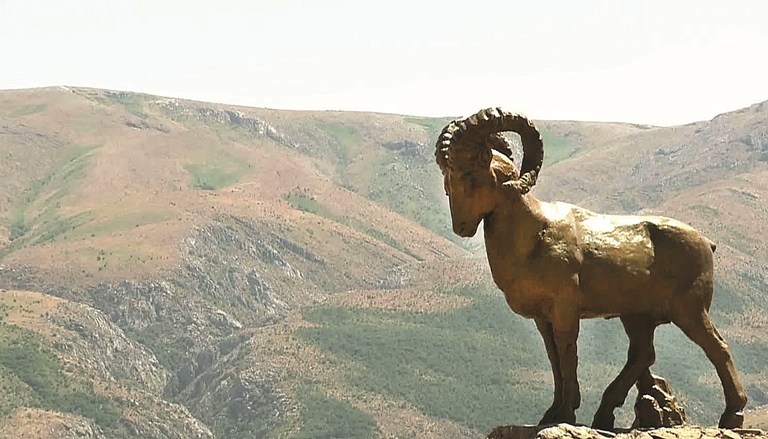 تاۋ باسىنداعى قوڭىر قۇلجا