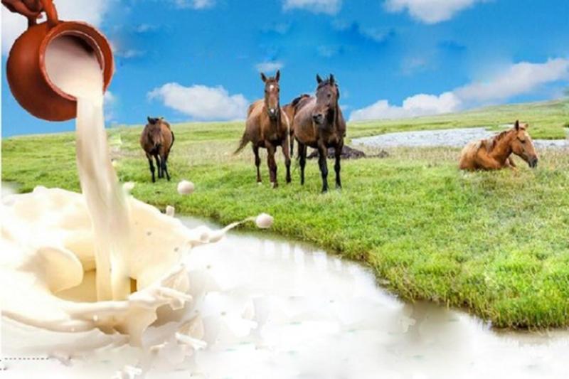 قازاقستاننان جاپونيا مەن وڭتۇستىك كورەياعا بيە ءسۇتى ەكسپورتتالادى