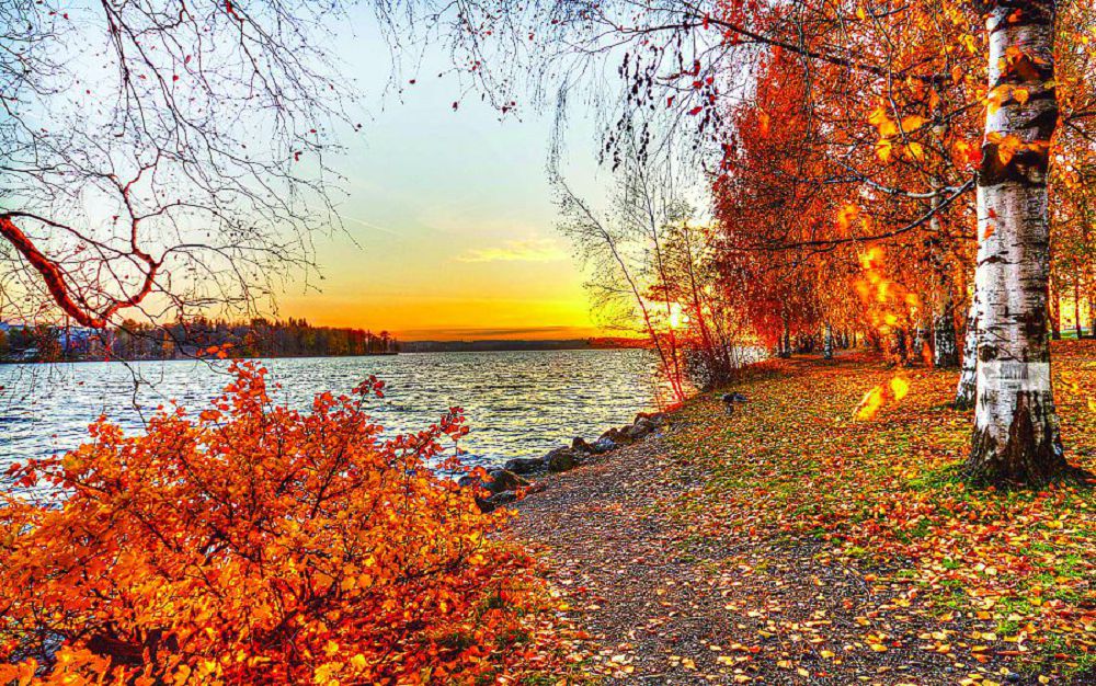 قار جاۋسا دا سونەر مە؟