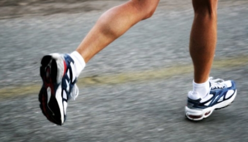 استاناداعى حالىقارالىق مارافوندا مۇمكىندىگى شەكتەۋلى جاندار دا جۇگىرەدى