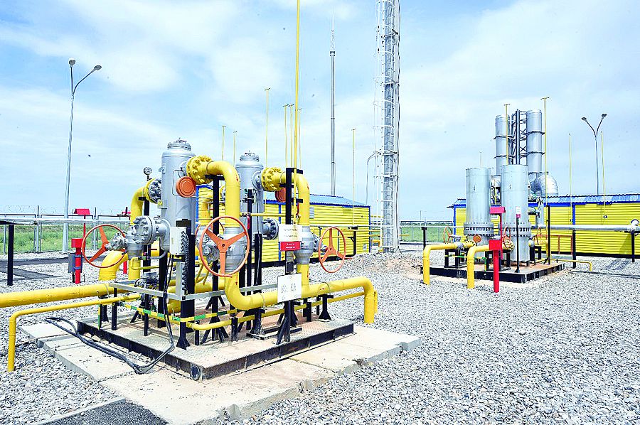 كەنتاۋعا كوگىلدىر وتىن بەرىلەدى