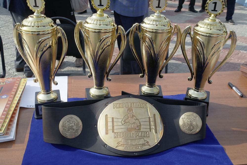 پەتروپاۆلدا بوكستان «رينگ كورولى» حالىقارالىق ءتۋرنيرى ءوتتى