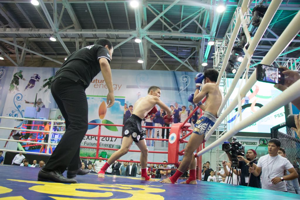 اتىراۋدا تاي بوكسىنان كəسىپقوي جارىس وتەدى