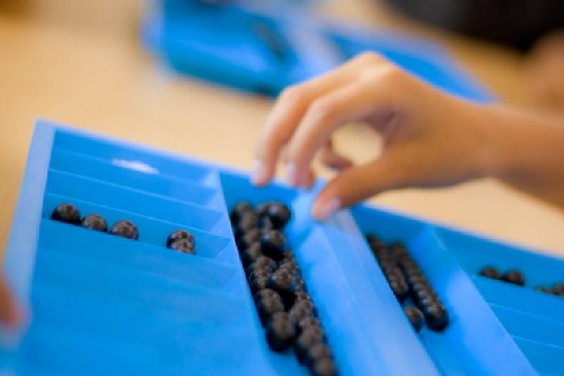 استانادا توعىزقۇمالاقتان الەم چەمپيوناتى وتەدى