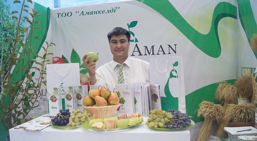 مەملەكەتتىك قولداۋ اگروونەركاسىپتى اياعىنان تۇرعىزدى