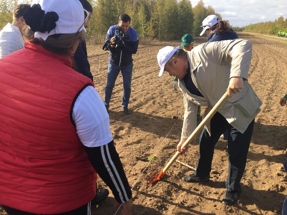 دەپۋتاتتار اعاش وتىرعىزدى