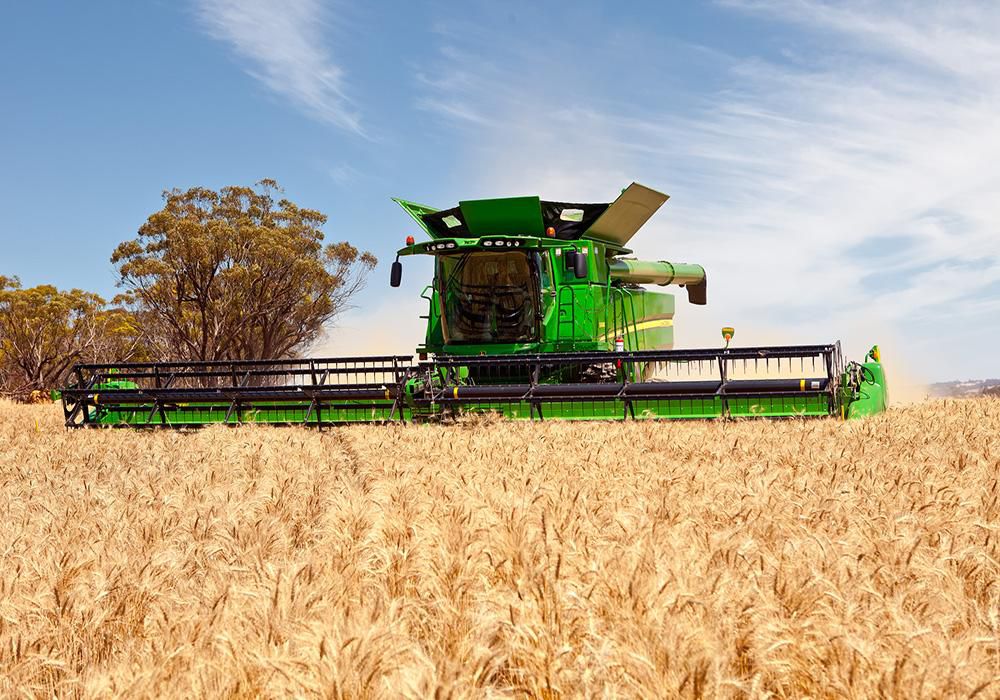 قامباداعى ءتۇيىر ءدان – ەل ىرىسى بۇيىرعان