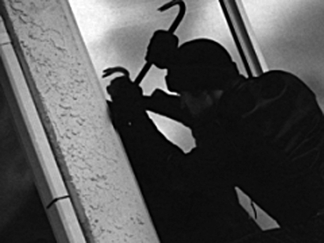 دانىككەن قارساق قۇلاعىمەن ءىن قازادى