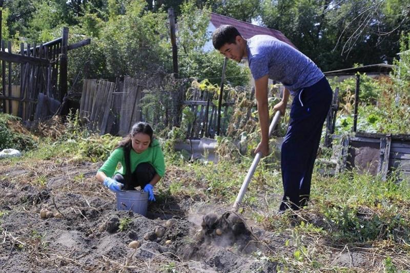 تالدىقورعاندا «مەيىرىمدى جۇرەك» اكتسياسى باستالدى