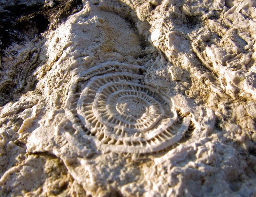 التاي تەڭىزى تۋرالى بىلەسىز بە؟