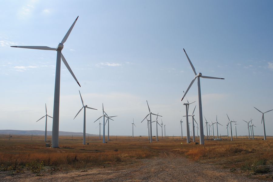 قوردايلىقتار مەملەكەتتىك قولداۋعا ءدان ريزا