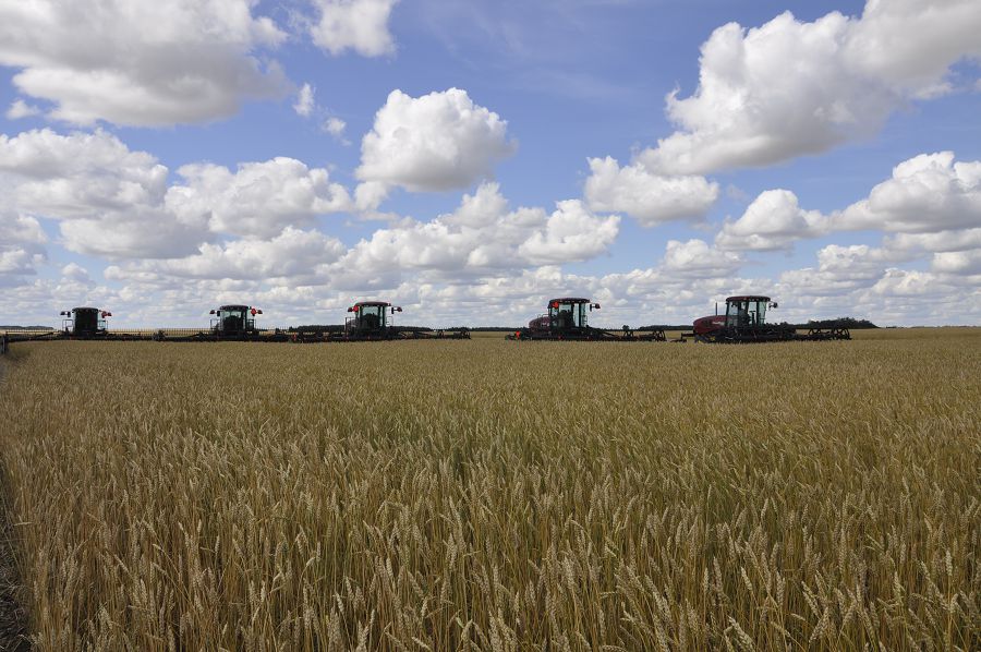 ماڭداي تەردىڭ وتەۋى