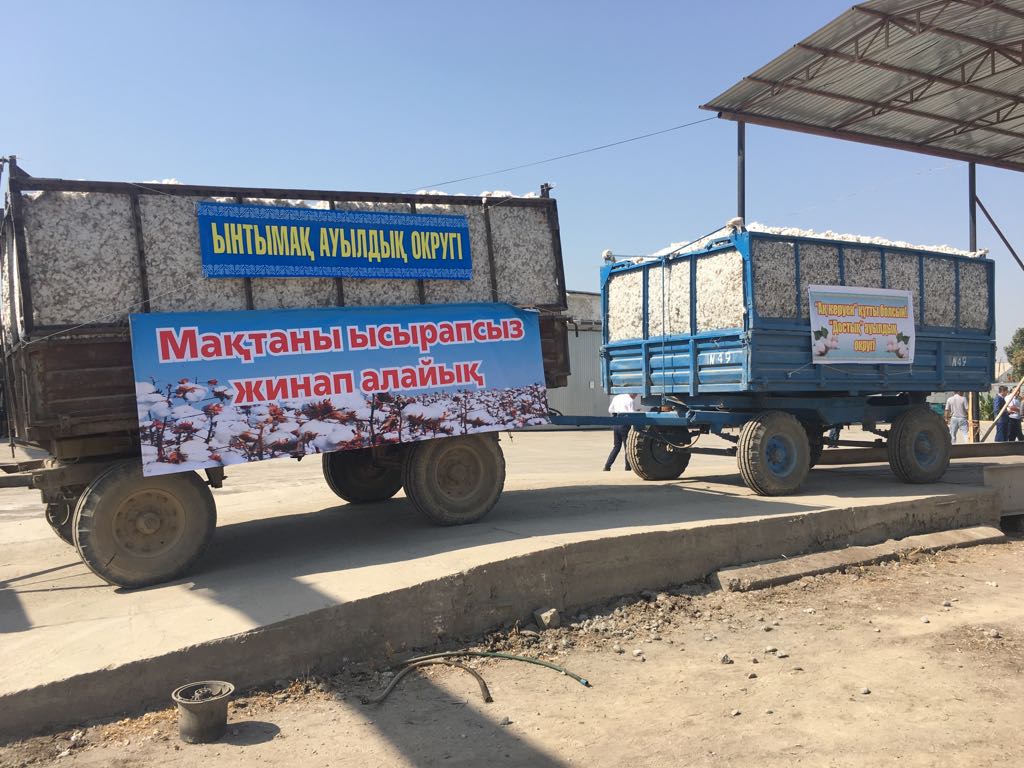 ماقتارالدا ماقتا تەرىمى باستالدى