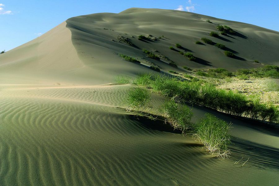 قىرىندا قۇلان جايلاعان...