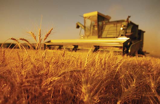 سۇدىگەر سەرپىنى