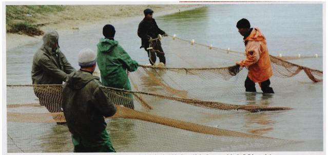 قازاق – قاشاندا قازاق!