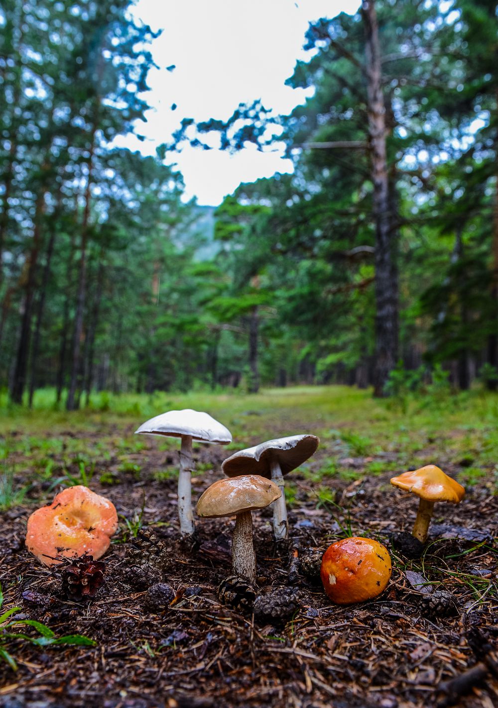 جەر قورلارىن ۇتىمدى پايدالانۋ ماڭىزدى
