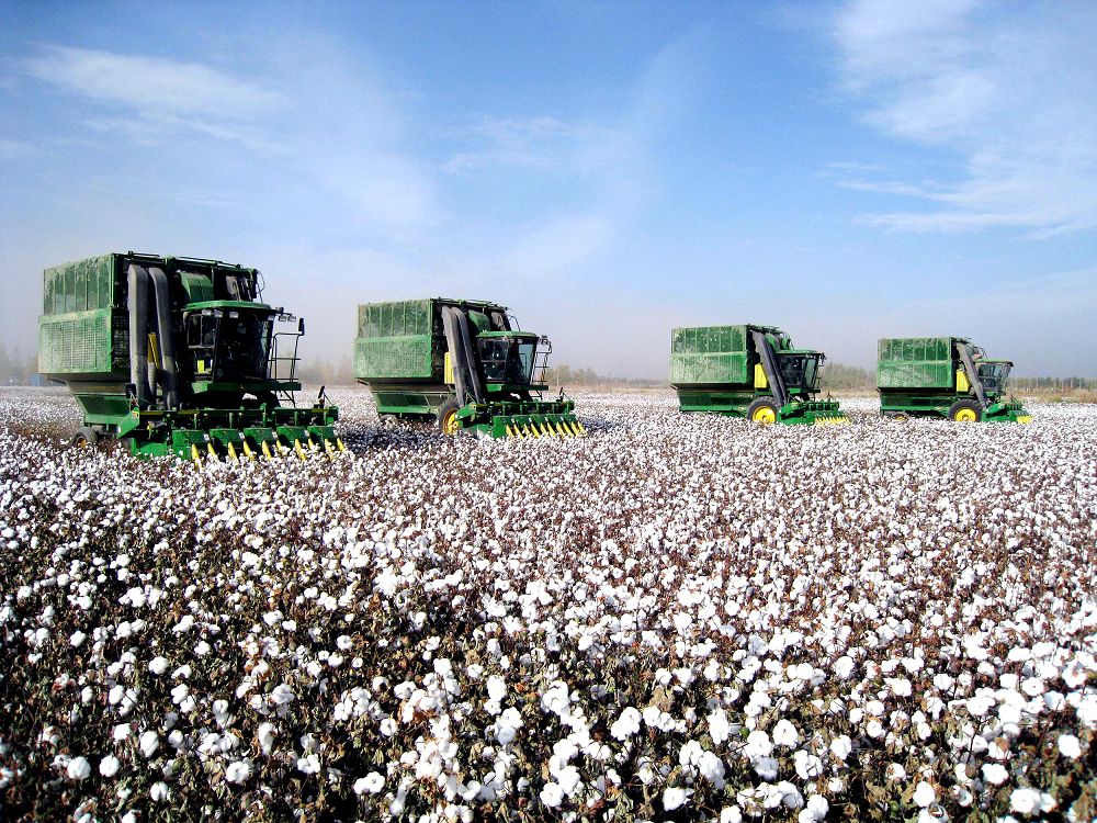 بيىل 300 مىڭ توننا ماقتا جيناۋ جوسپارلانۋدا