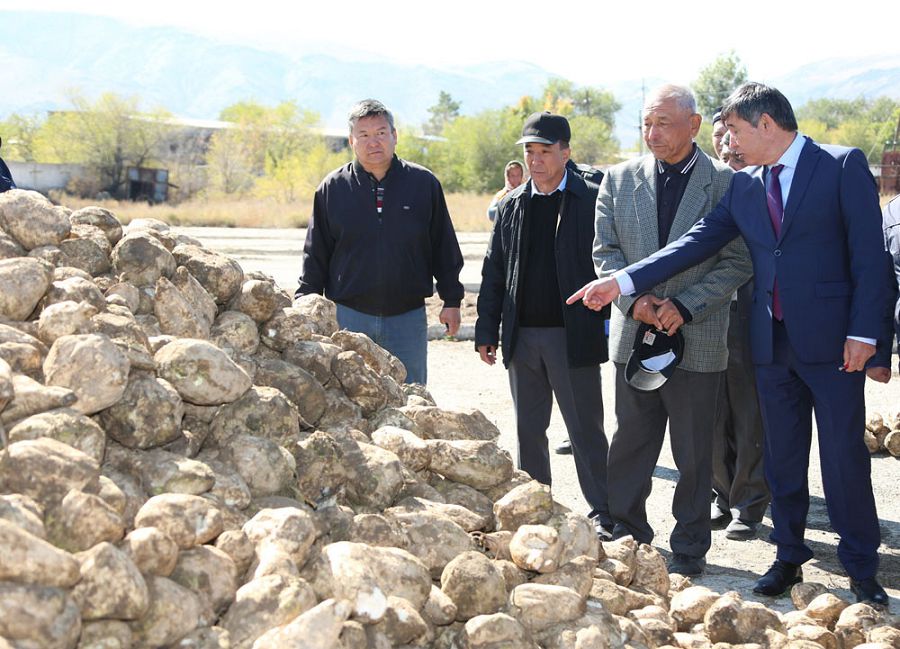 «اقسۋعا» قىزىلشا كەلدى