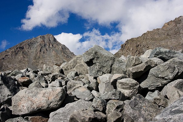 ۇيگەنتاستىقتاردىڭ ۇكىلەگەن ءۇمىتى