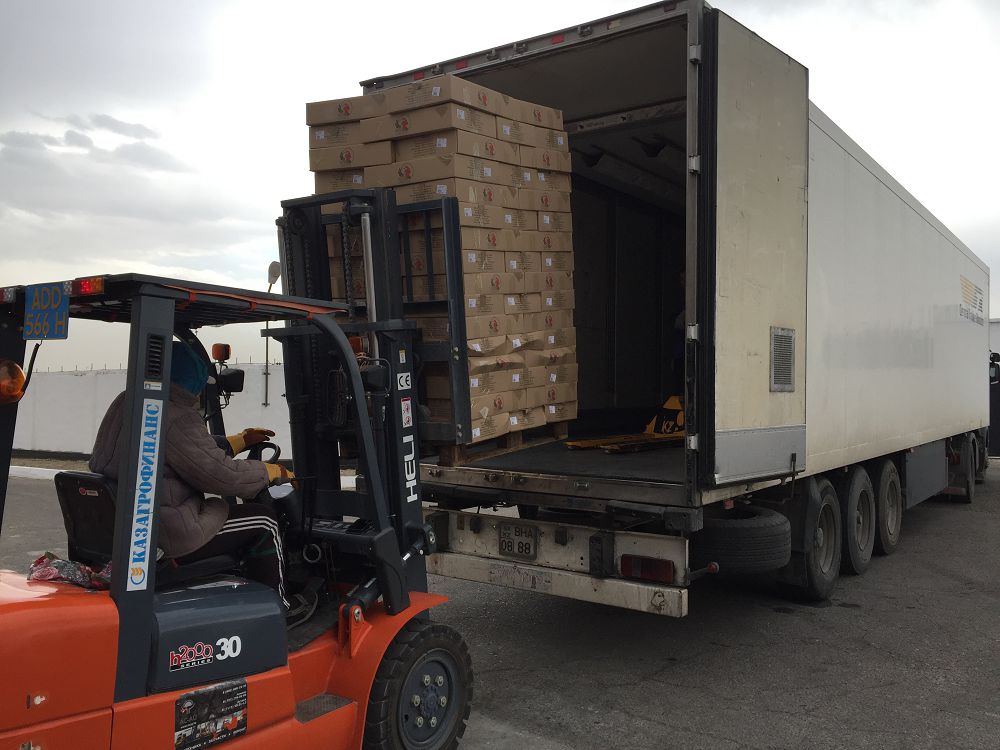 قۇس فابريكاسىنىڭ قارقىنى جوعارى