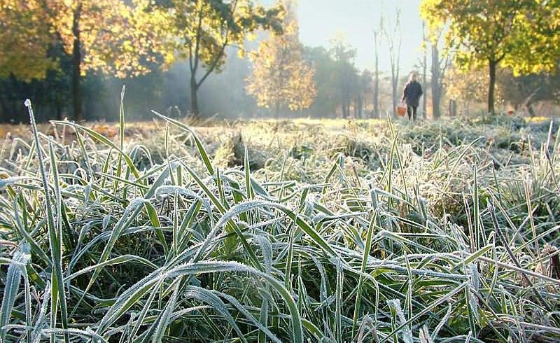 دەمالىس كۇندەرى ەلىمىزدىڭ باسىم بولىگىندە اۋا رايى جاۋىن-شاشىنسىز بولادى