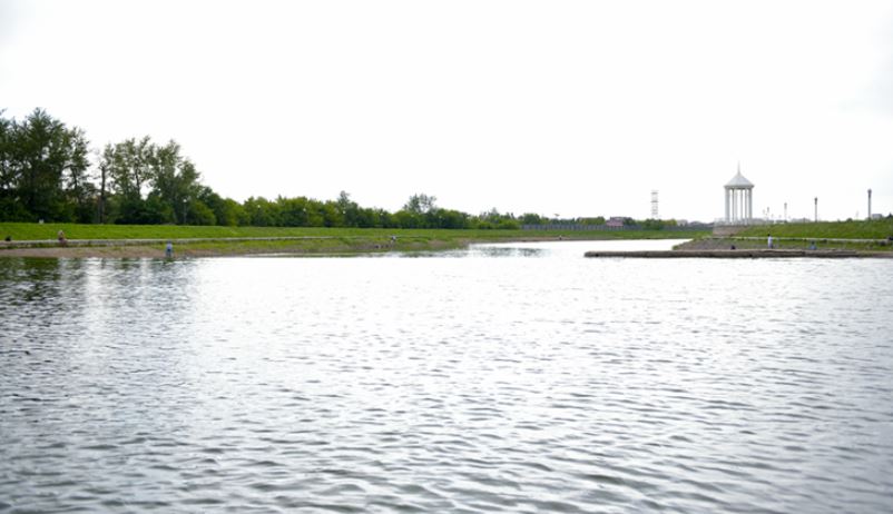 ەسىل وزەنىنە تۇقى شاباقتىڭ 300 مىڭ داناسى جىبەرىلەدى